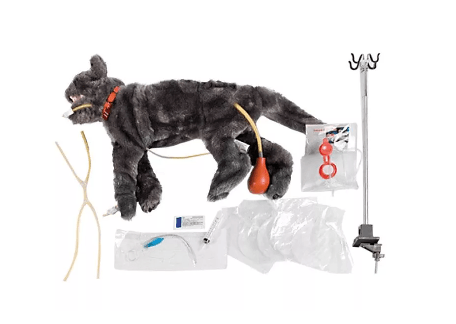 Critical Care Fluffy - Erler - Zimmer